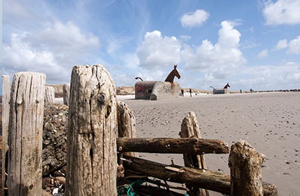 Naturpark Vesterhavet